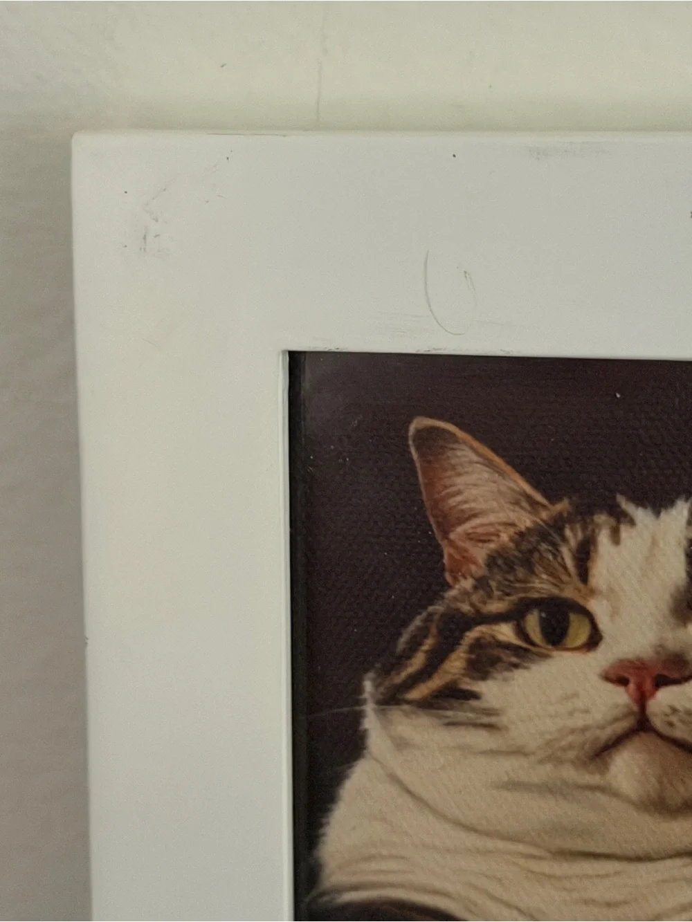 Fat Cat on Couch Quirky Canvas Art Print White Framed Weird Wall Hanging Art